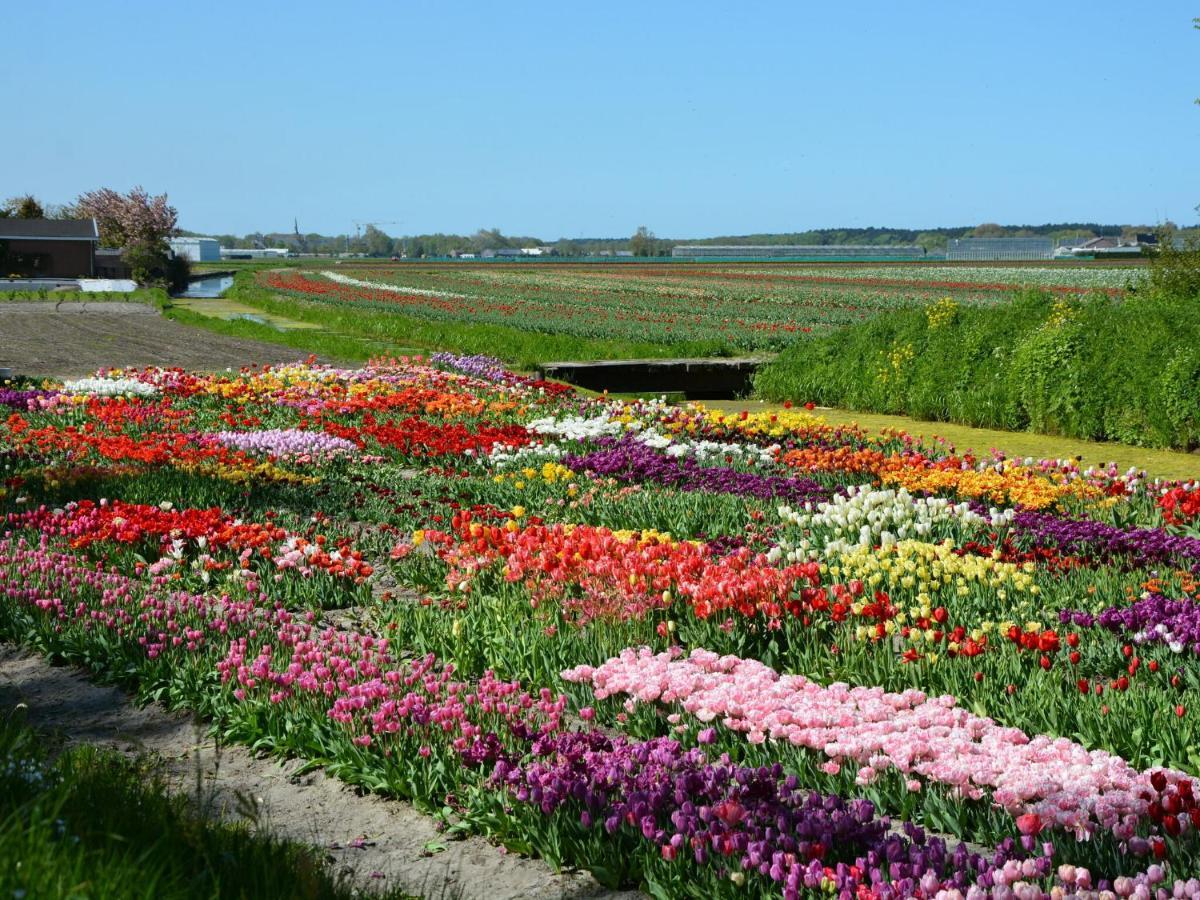 Fresh And Colorful Holiday Home Near The Beach Sea Dunes And Lake Noordwijkerhout Exteriör bild