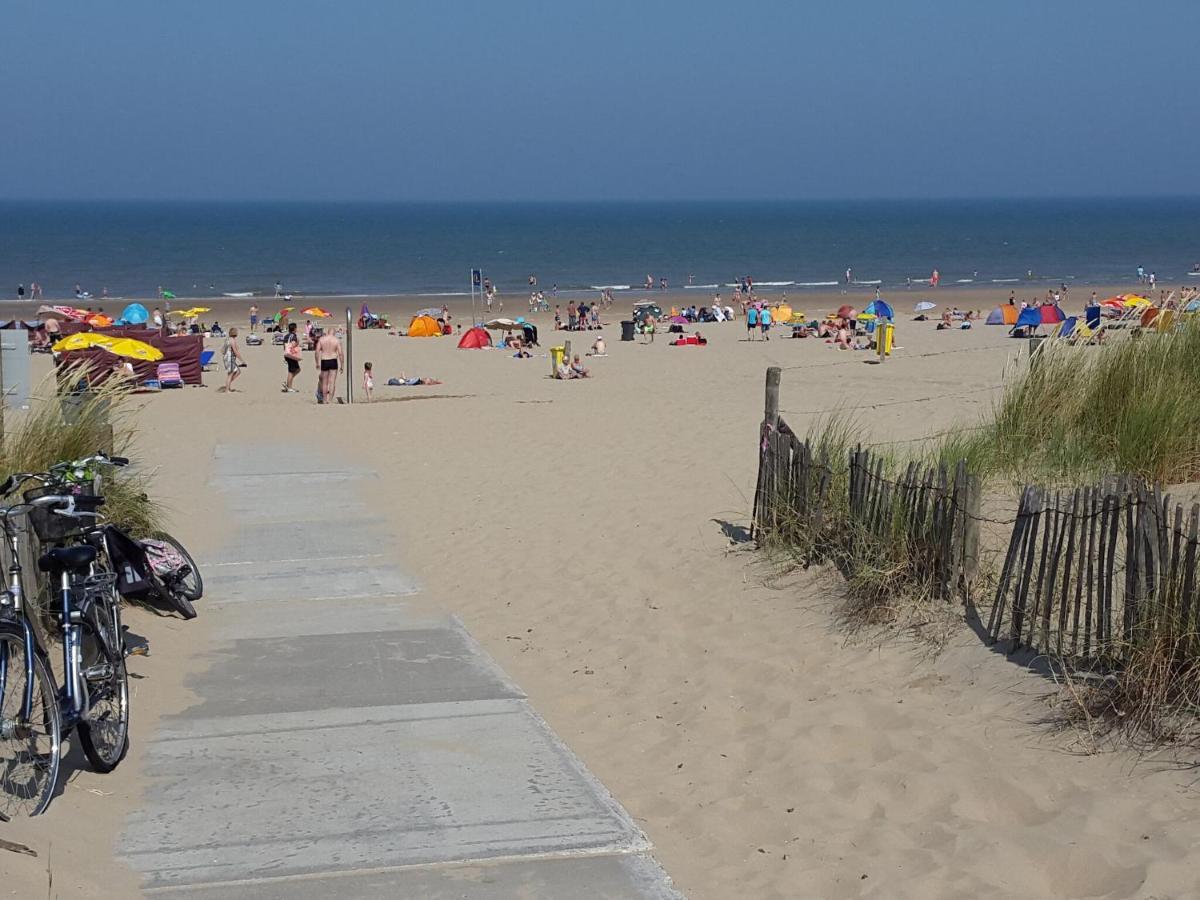 Fresh And Colorful Holiday Home Near The Beach Sea Dunes And Lake Noordwijkerhout Exteriör bild